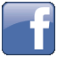 Social Network Marketing Facebook Twitter & More