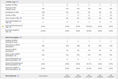 Custom Website SEO Analysis